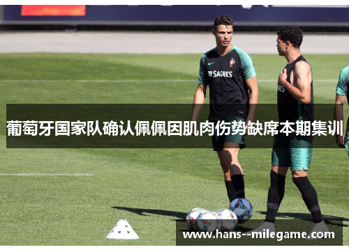 葡萄牙国家队确认佩佩因肌肉伤势缺席本期集训